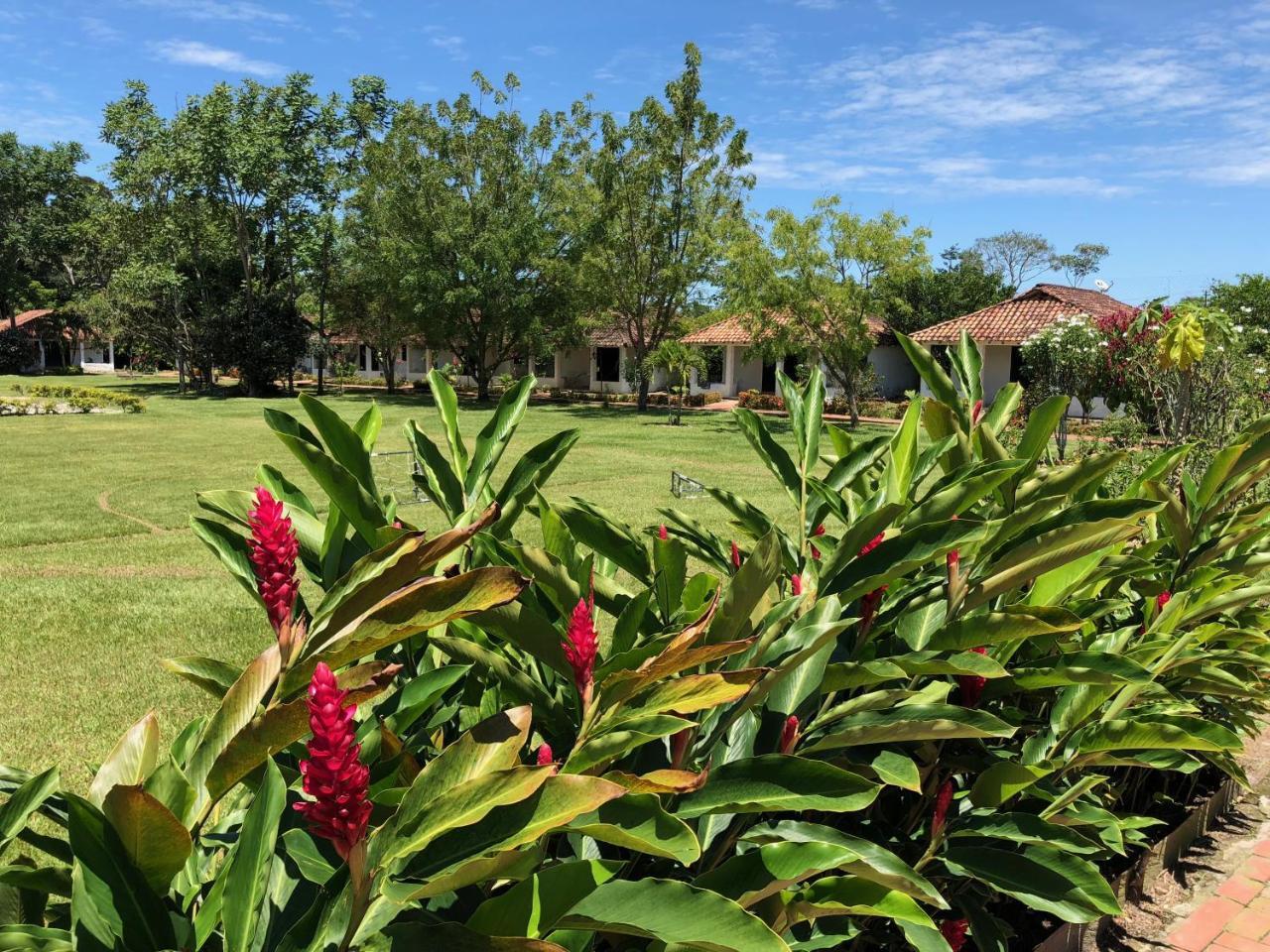 Lodge Campestre Arboretto