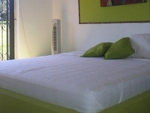 Campestre Arboretto Lodge