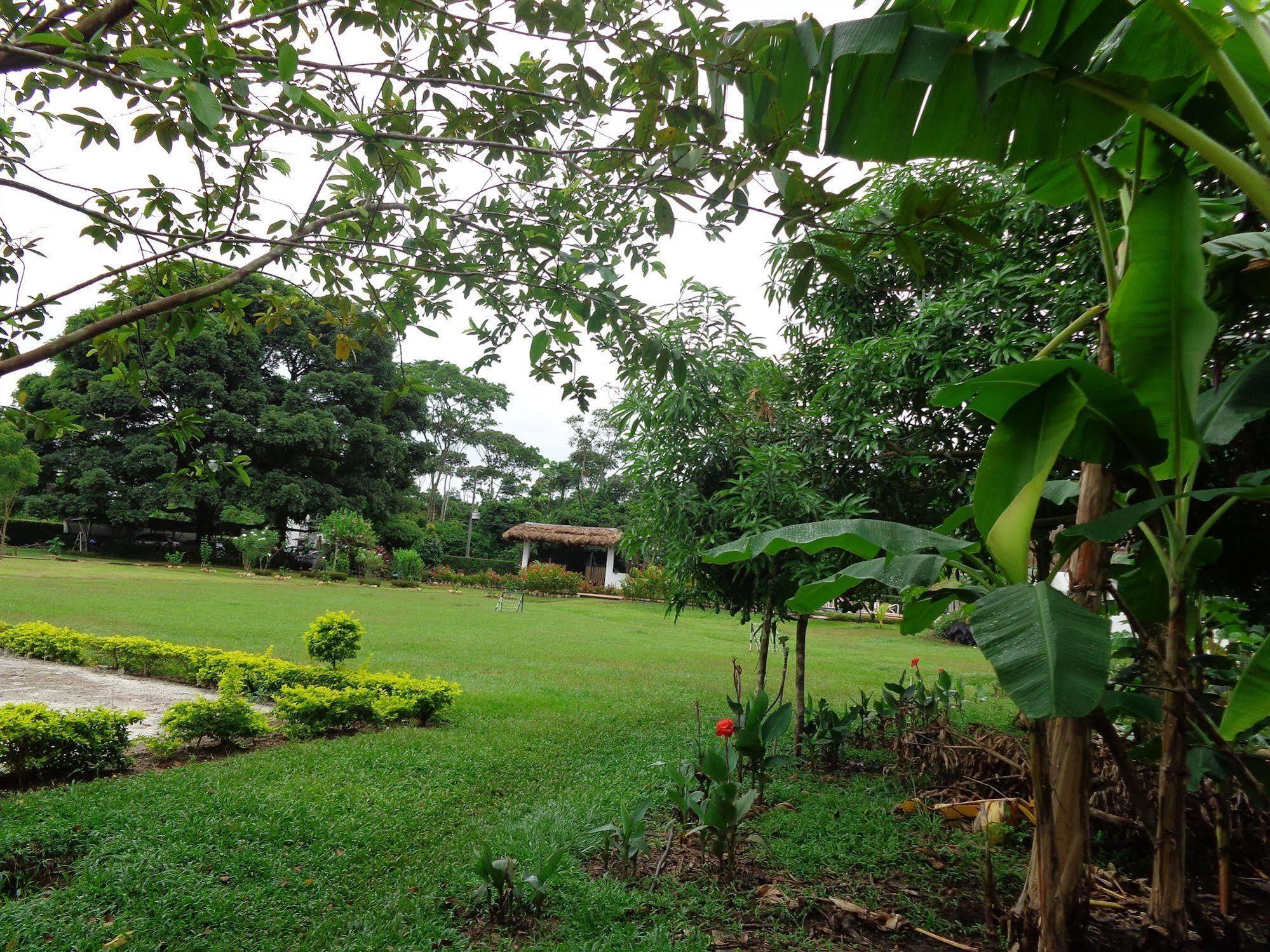 Campestre Arboretto *